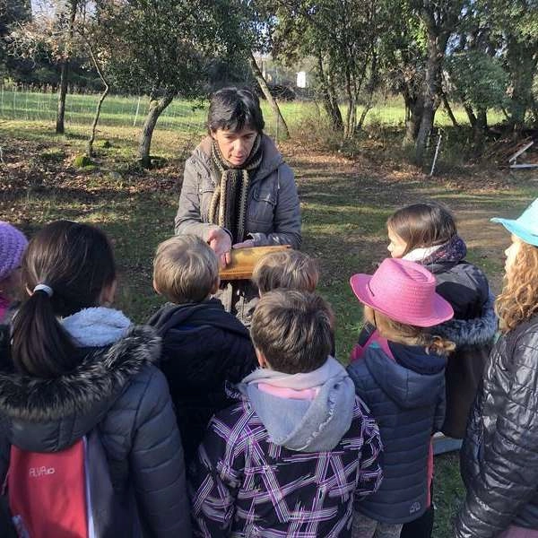Visit to the Ruchers des Messeguières farm