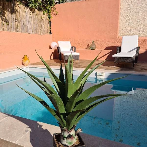 Villa PhiJos - EN