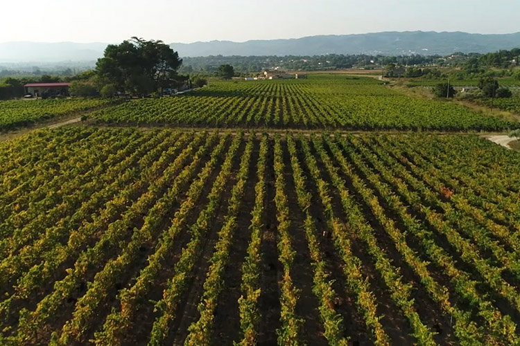 Aerial view of the vineyards of MasLauris Estate in Lauris in the Luberon