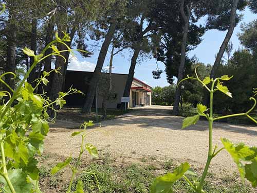 Wine tasting at MasLauris Estate in Lauris in the Luberon