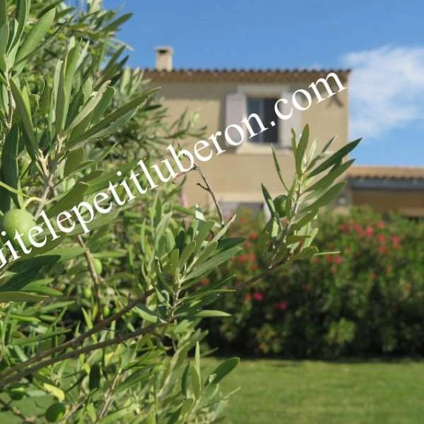 Gîte Le Petit Luberon - Lisianthus*