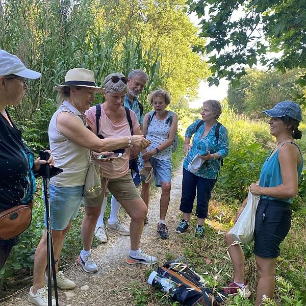 Discover the landscapes of Vaucluse in Lagnes