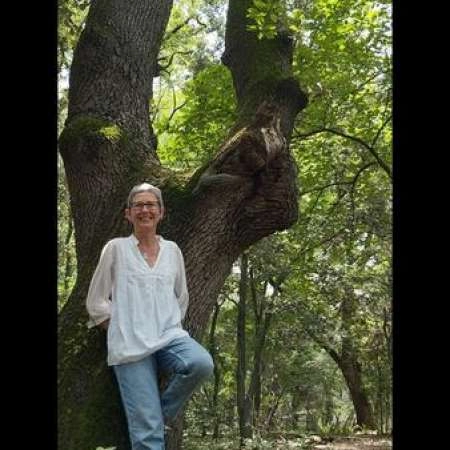 Sortie Shinrin Yoku ou Bain de Forêt - EN