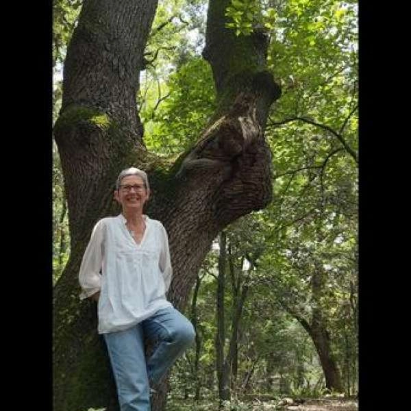 Sortie Shinrin Yoku ou Bain de Forêt - EN