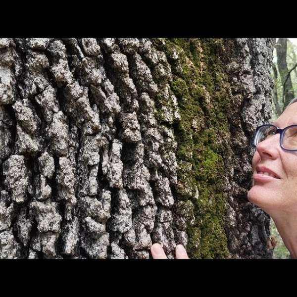 Shinrin Yoku forest bathing experience in nature