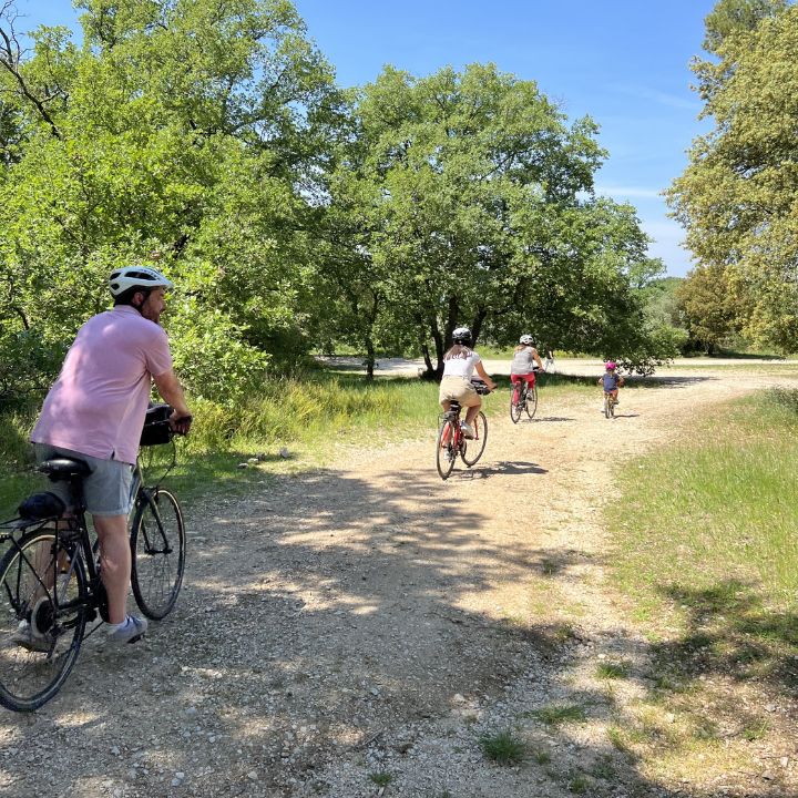 Family cycling in the Luberon