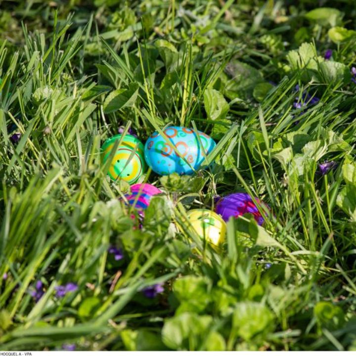 Easter eggs in the grass
