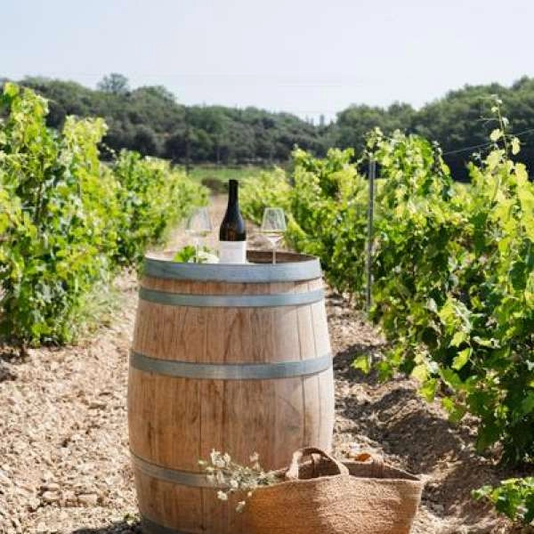 La chasse aux oeufs - EN