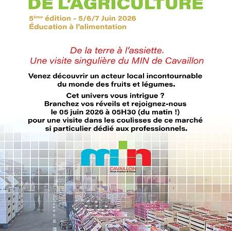 Unusual visit to the MIN in Cavaillon
