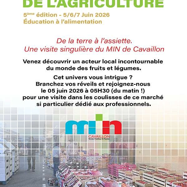 Unusual visit to the MIN in Cavaillon