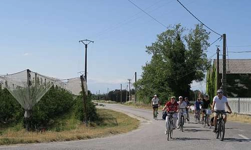 Liaison Isle sur la Sorgue - Lagnes - Robion