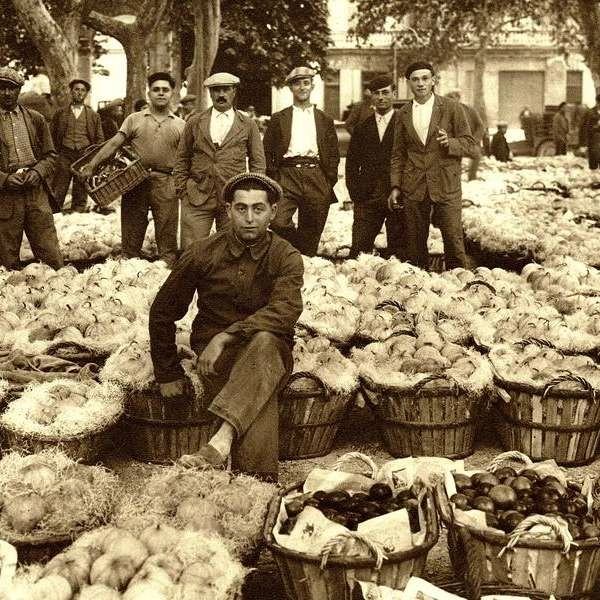 [AGRI]CULTURES: Whisper of the Fields, Reflection of the City in Cavaillon