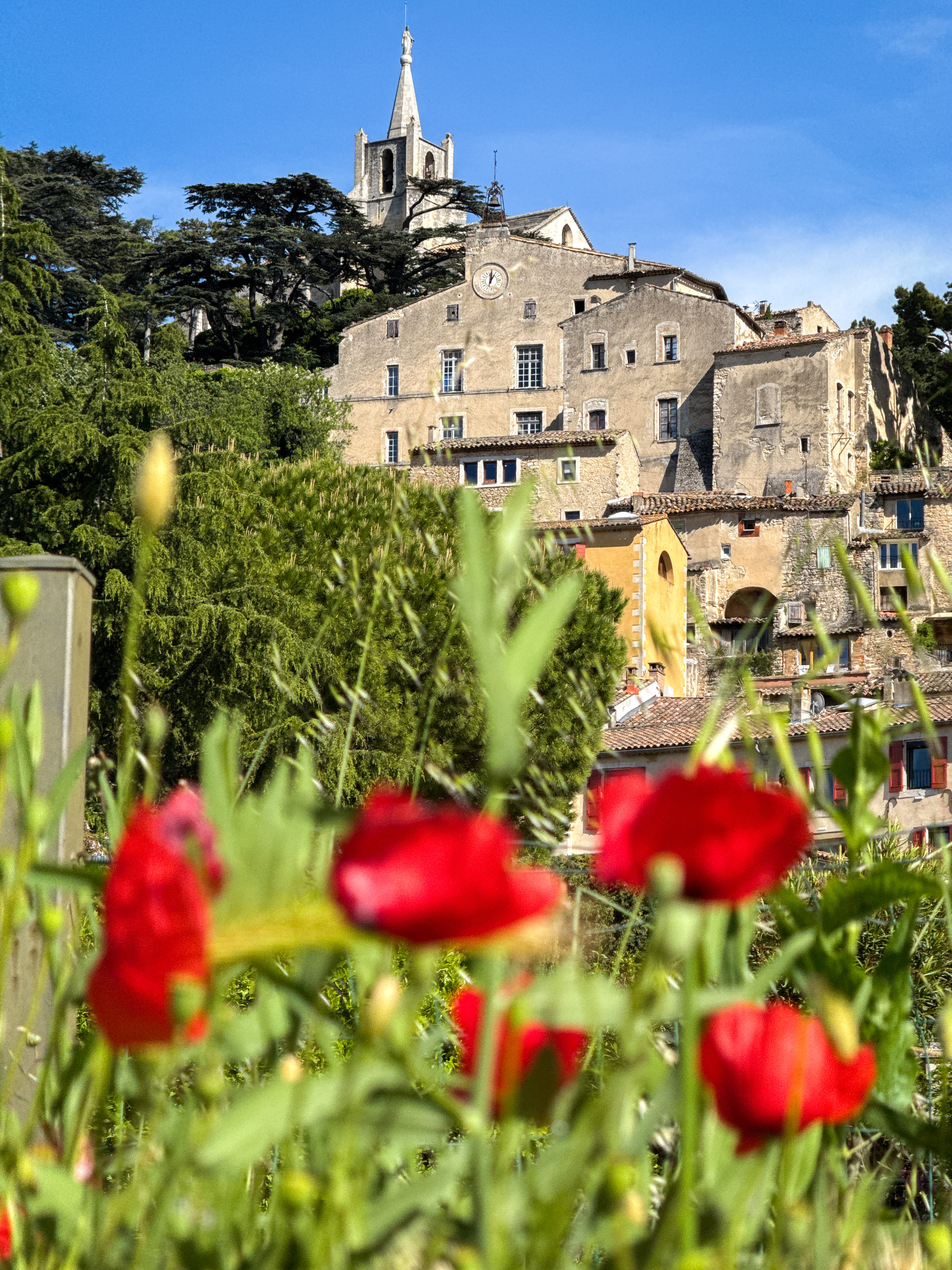 What to do in Bonnieux