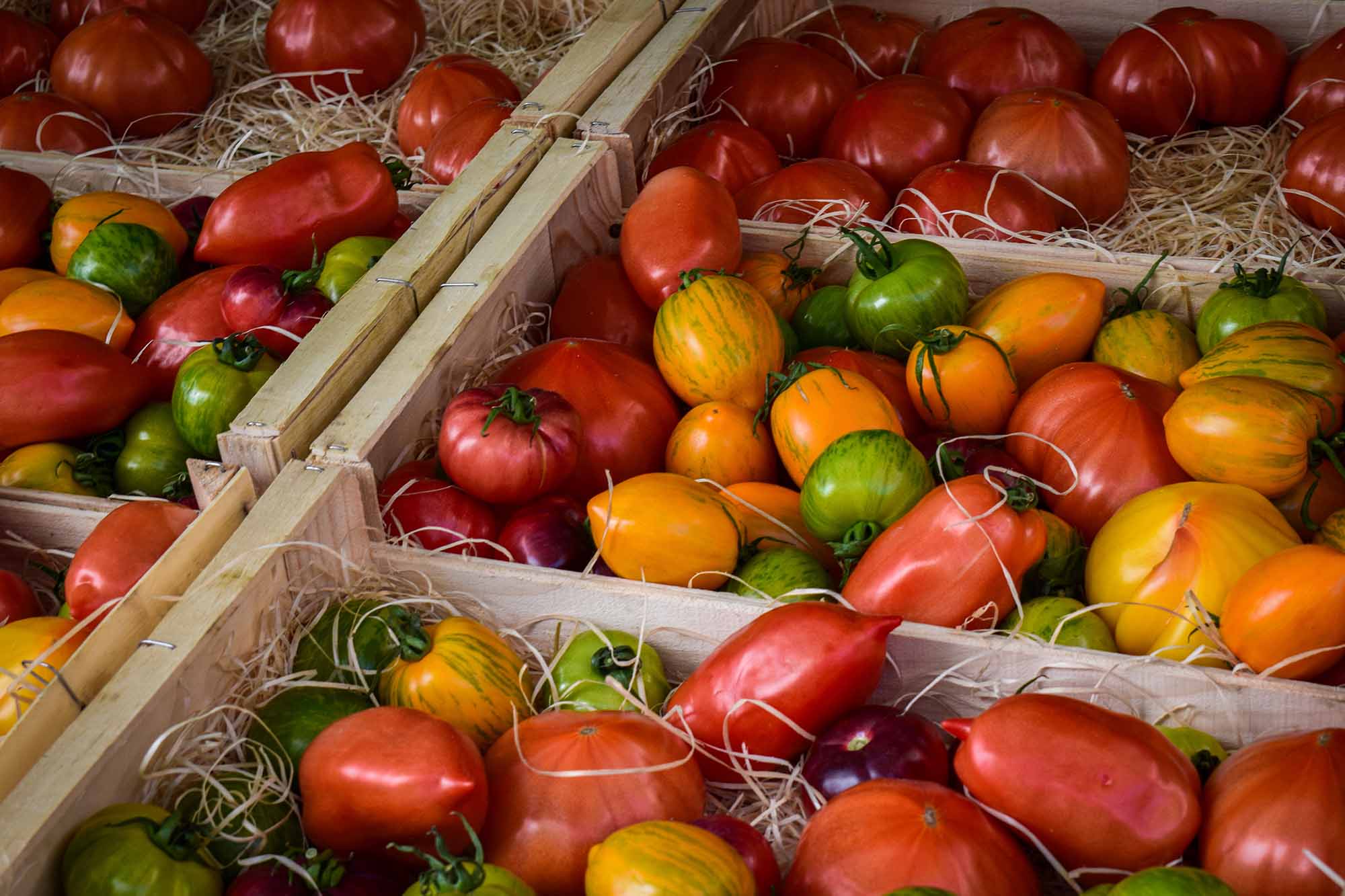 Mill and market in Puyvert