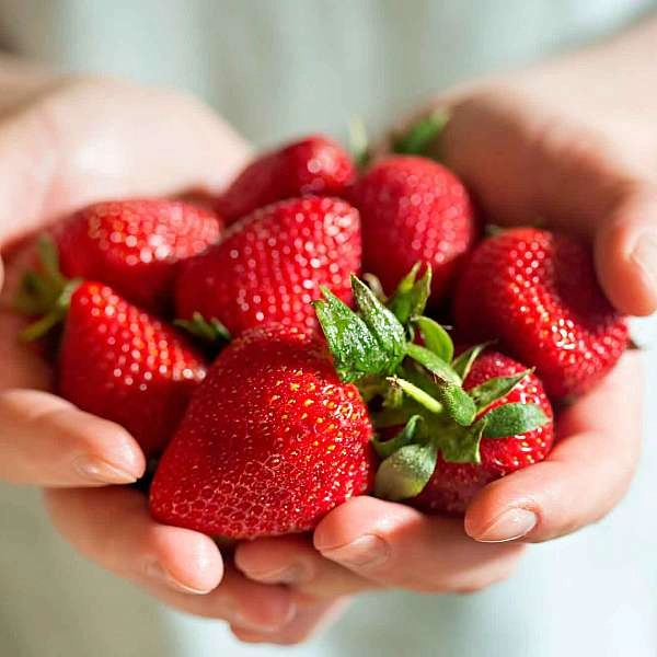Spring delights: strawberries take centre stage