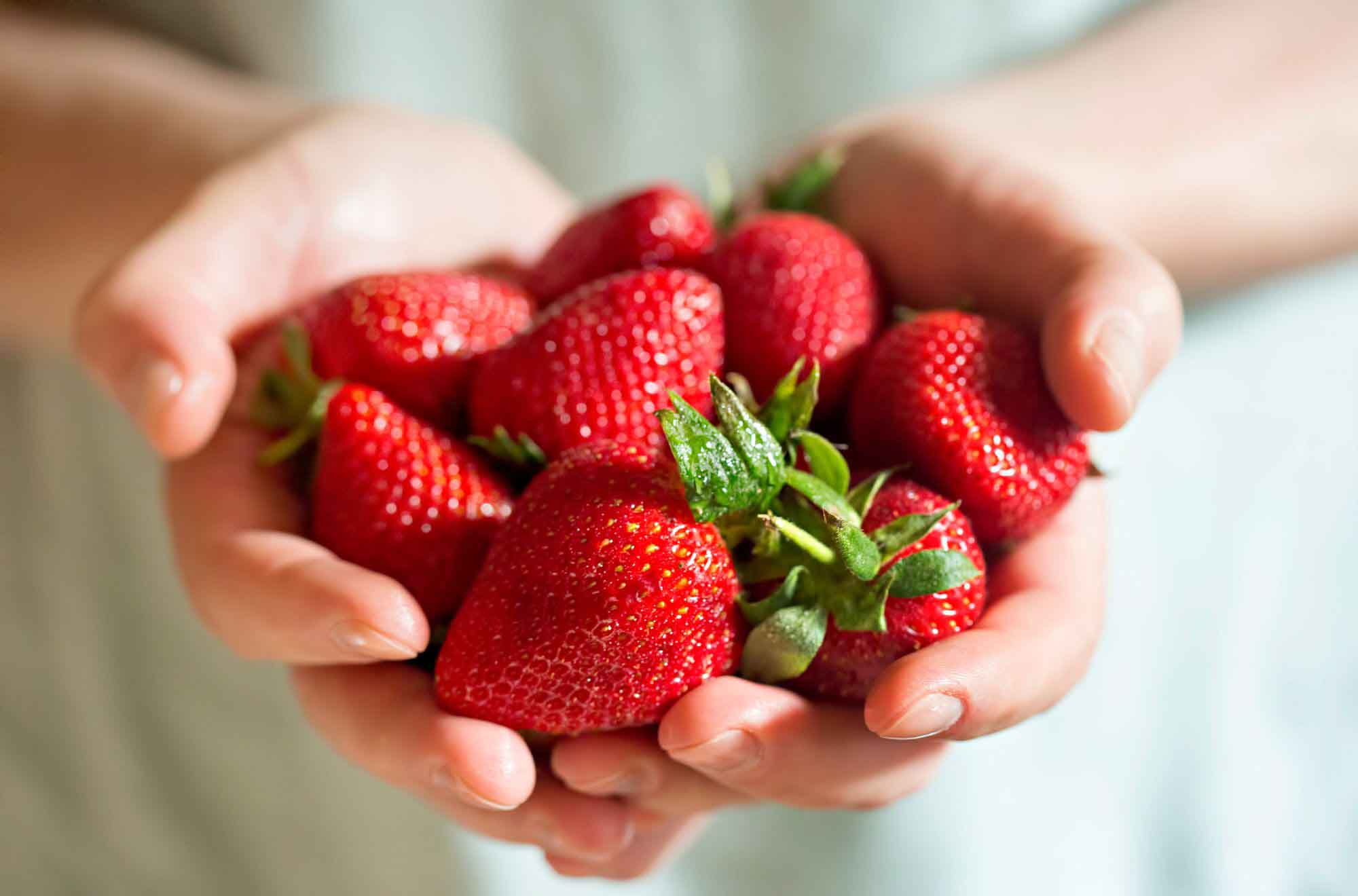 Spring delight: strawberries take center stage on the market stalls