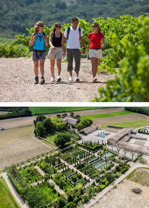 Participants walking through vineyards and aerial view of a Provençal estate in the Luberon during Luberon in Every Sense 2026