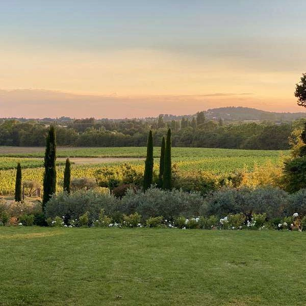 Open House at Château Constantin