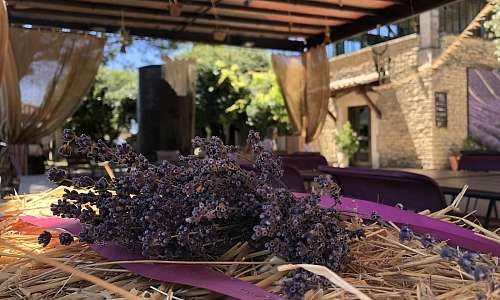 Peace, Love and Lavender au Musée de la Lavande_Cabrières-d'Avignon