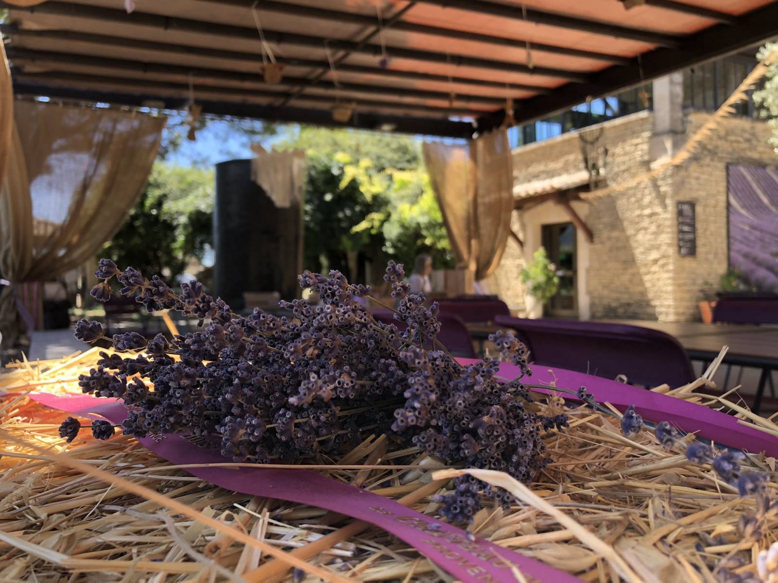 Peace, Love and Lavender at the Lavender Museum Luberon in Cabrières-d'Avignon