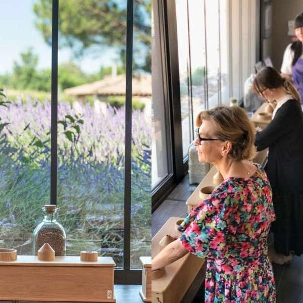 Week-end prolongé du 8 mai au Musée de la Lavande - EN