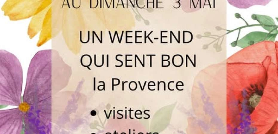 Week-end du 1er mai au Musée de la Lavande - EN