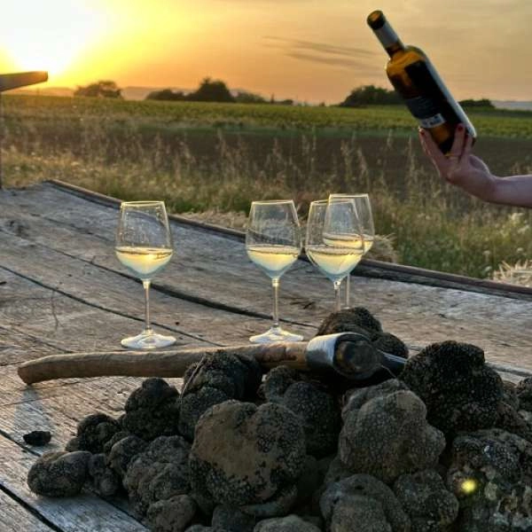 Truffle & olive oil evening in the heart of Luberon at the Moulin Bastide du Laval in Cadenet