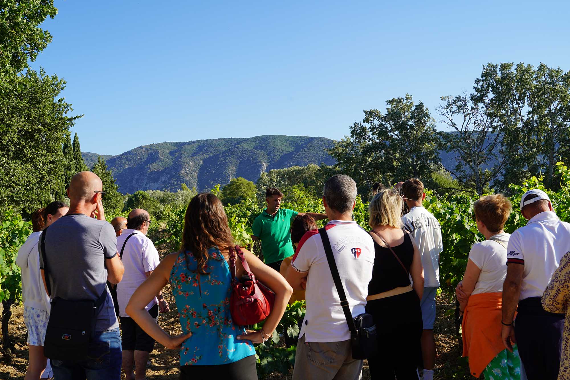 Wine tasting during Sunsets Vignerons Wine tasting and gourmet pairings during