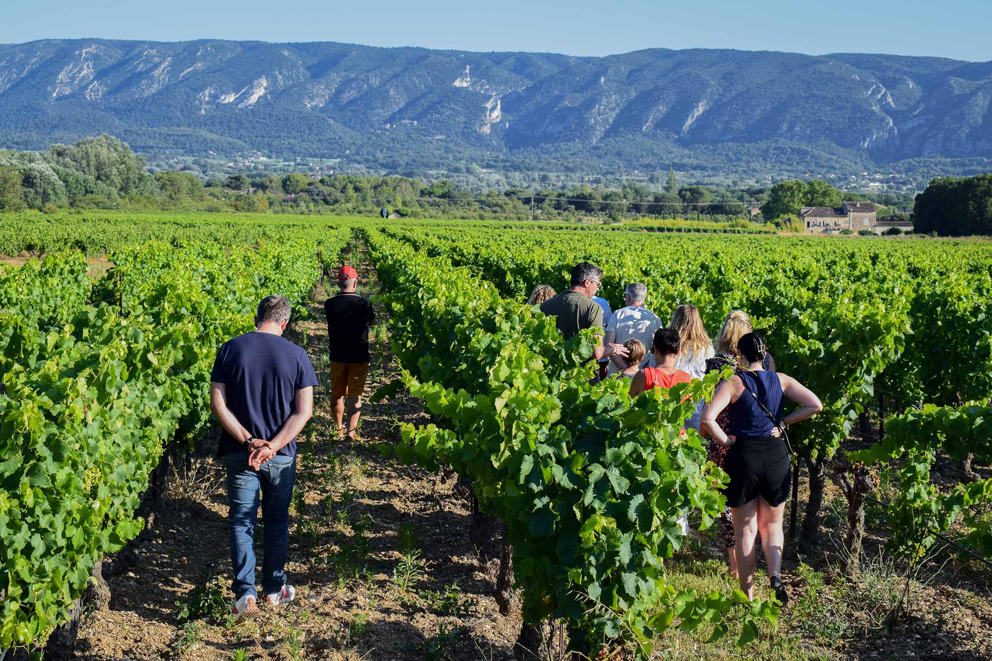 Wine tasting during Sunsets Vignerons Wine tasting and gourmet pairings during