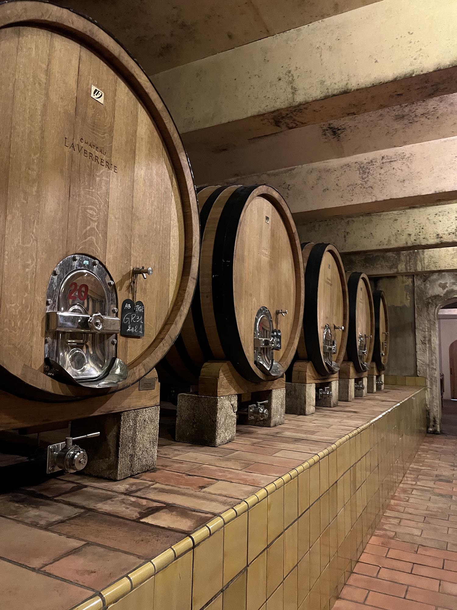 Wine tasting and gourmet pairings during
