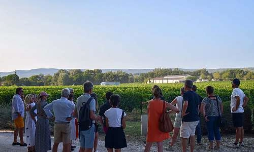 Sunsets Vignerons en Luberon au Domaine La Garelle_Oppède