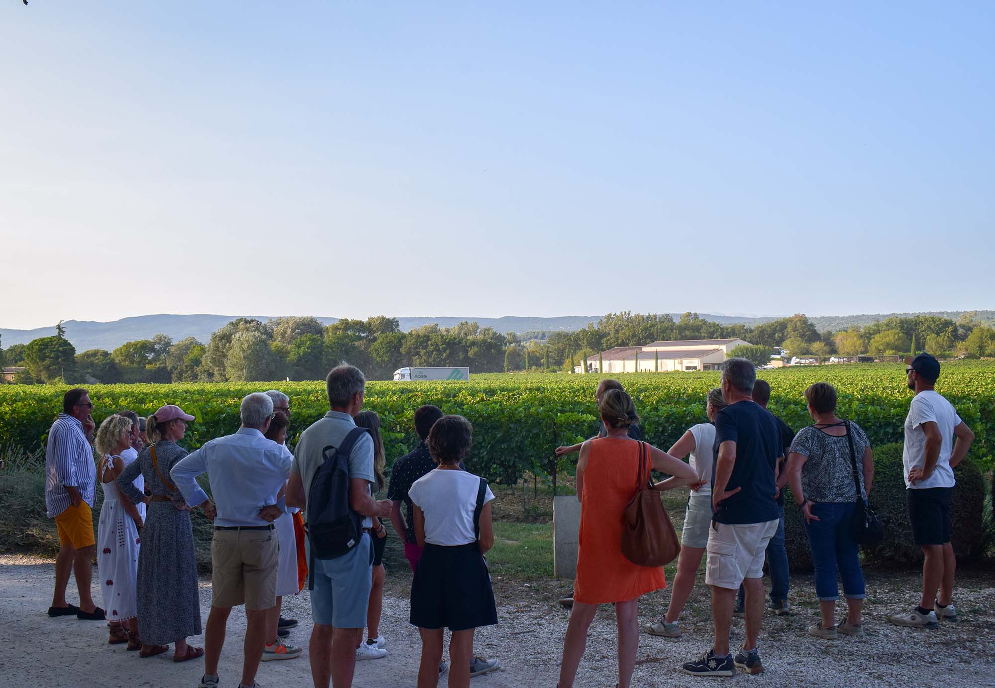 Wine tasting and Mediterranean cuisine during