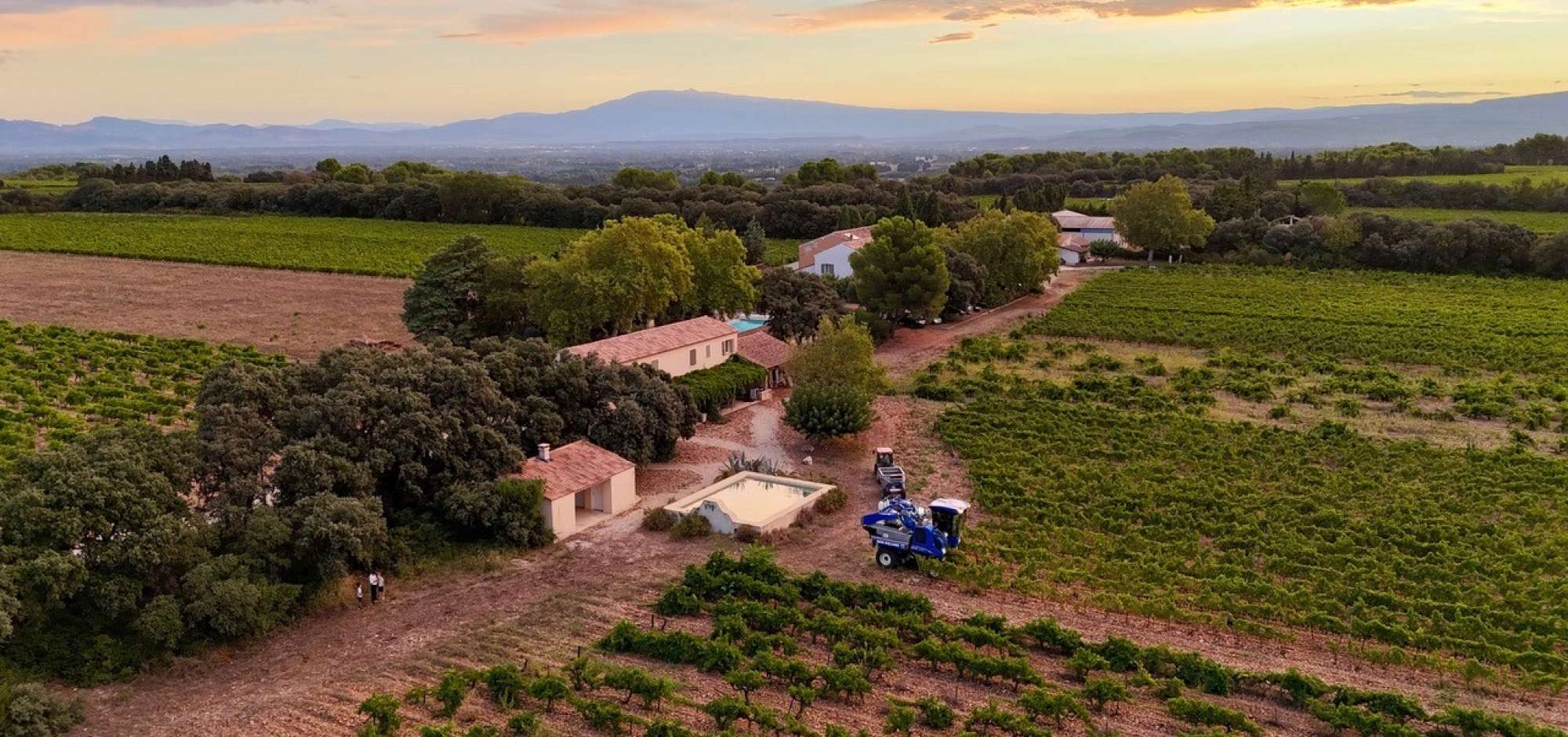 Sunsets Vigneron 2026 at Clos des Saumanes