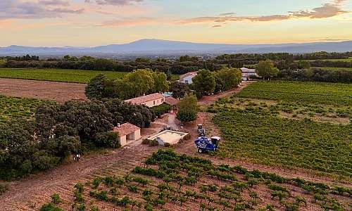 Sunsets Vigneron au Clos des Saumanes_Châteauneuf-de-Gadagne