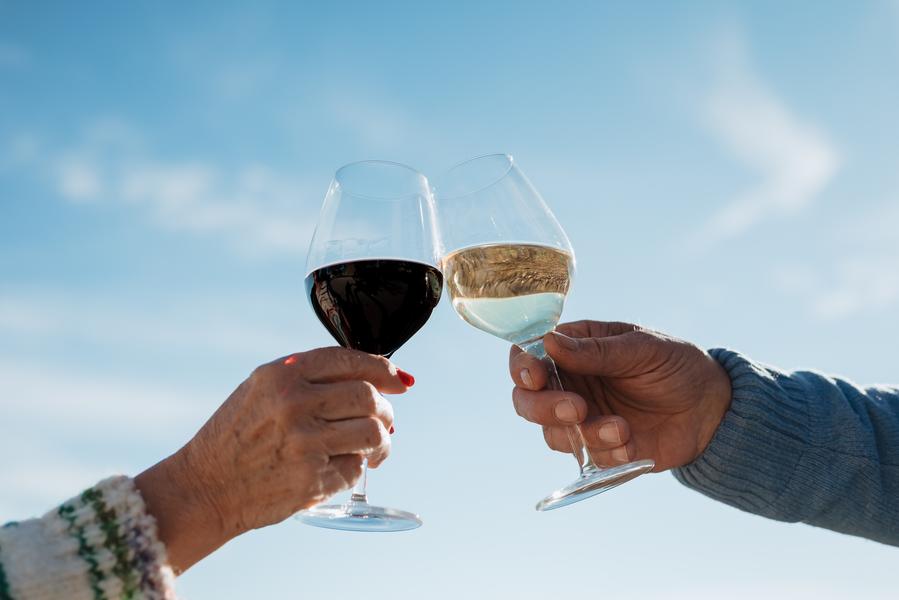 Discovering the wine estates and cellars of the Luberon
