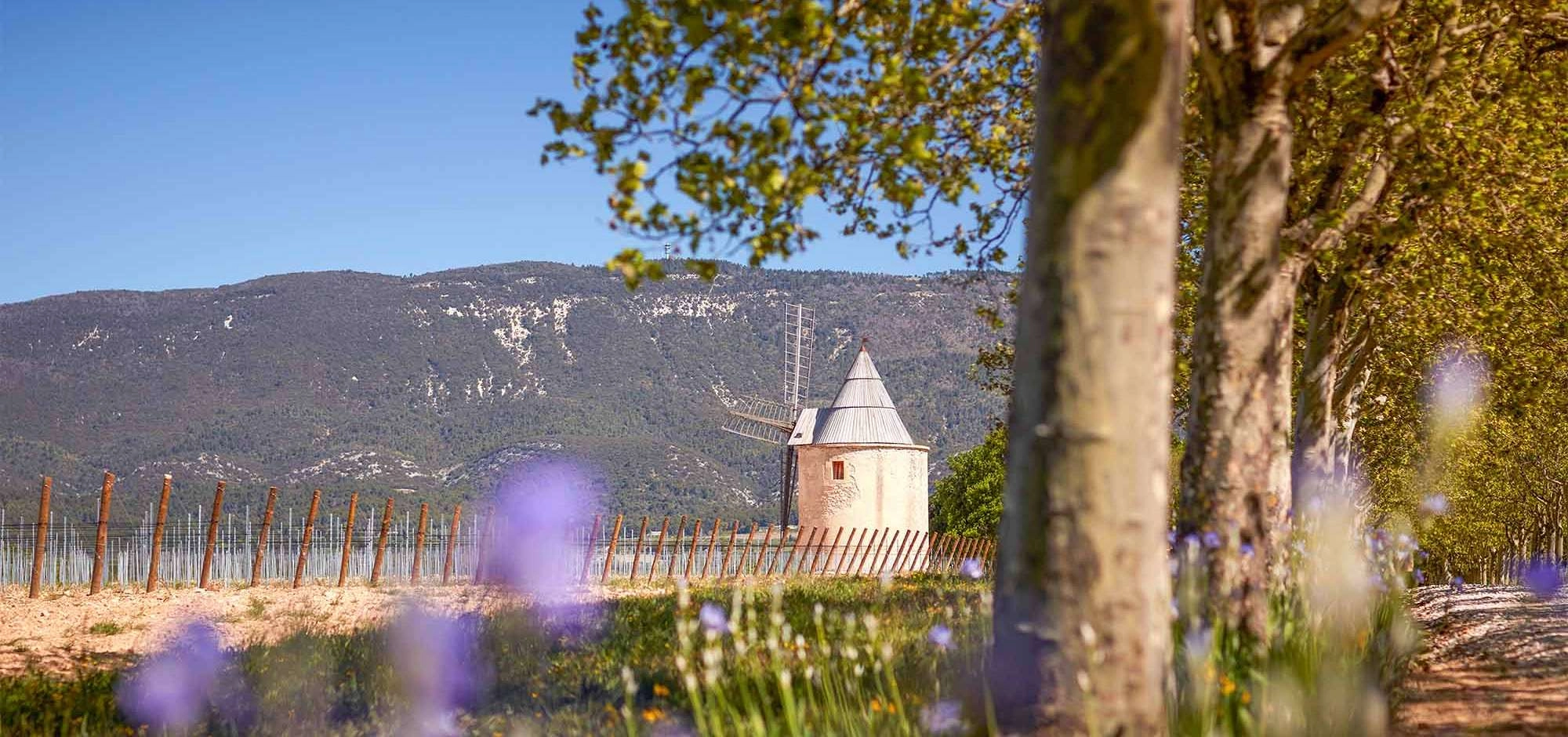 Sunsets Vignerons 2026 at Château de Sannes