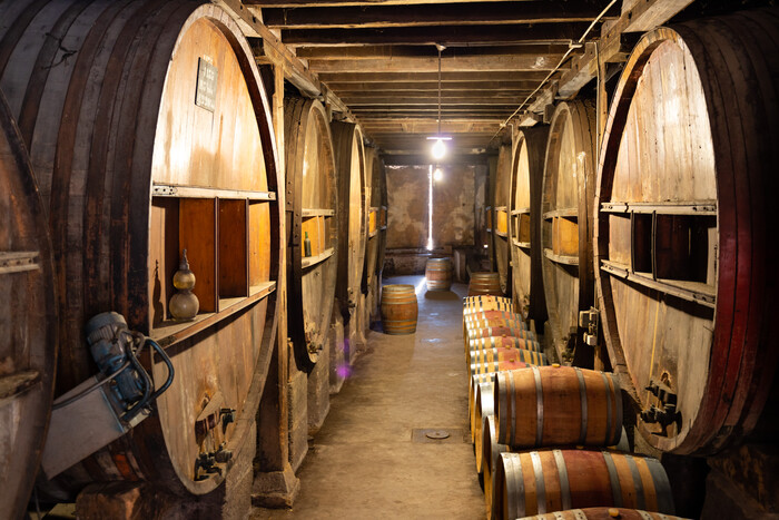 Wine tasting and Mediterranean cuisine pairings during