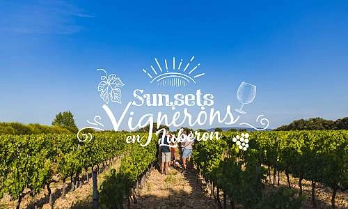 Sunsets Vignerons au Domaine des Garriguettes