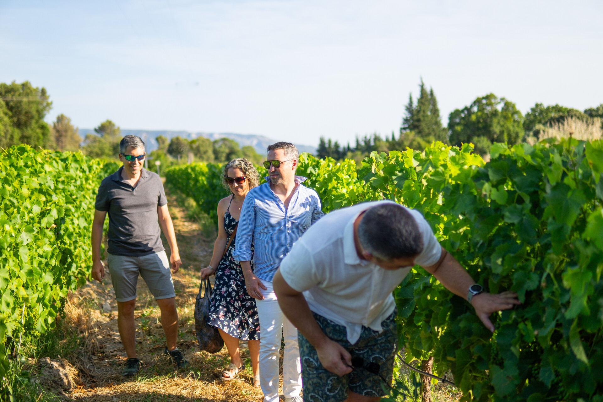 Wine tasting during Sunsets Vignerons Wine tasting and gourmet pairings during
