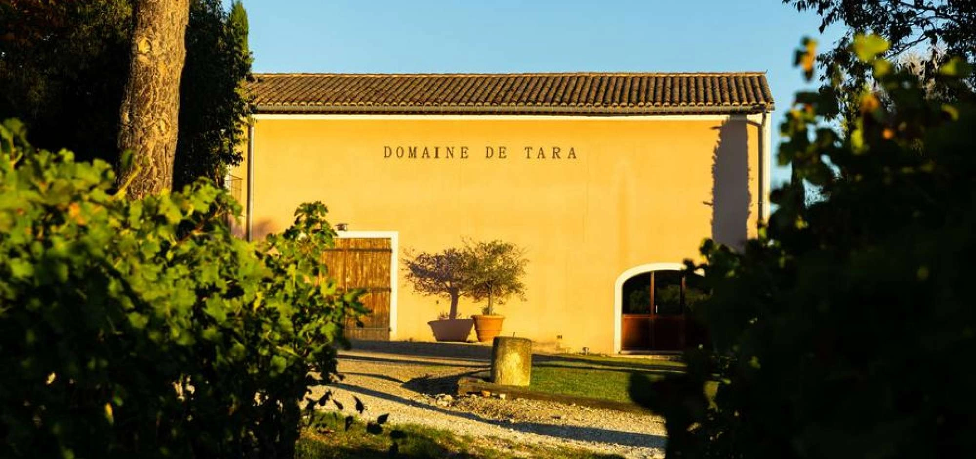 2026 Winemakers Sunsets at Domaine Tara
