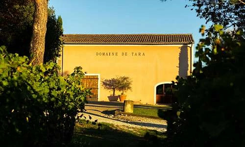 Sunsets Vignerons 2026 au Domaine Tara_Roussillon