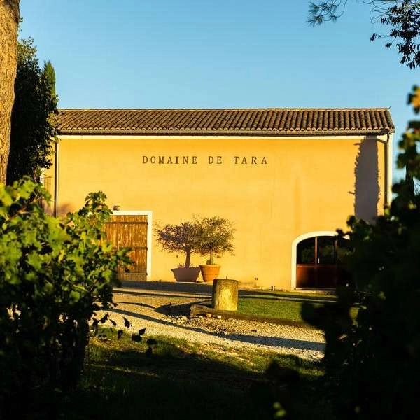 Sunsets Vignerons 2026 au Domaine Tara - EN