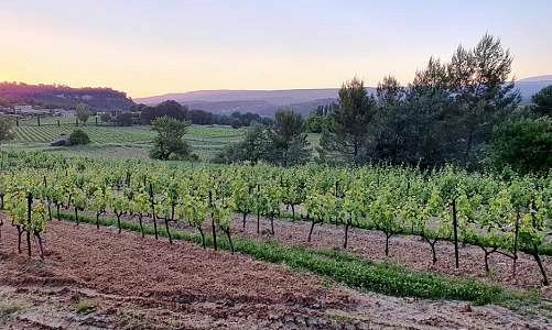 Sunsets Vignerons 2026 au Mas Edem_Goult