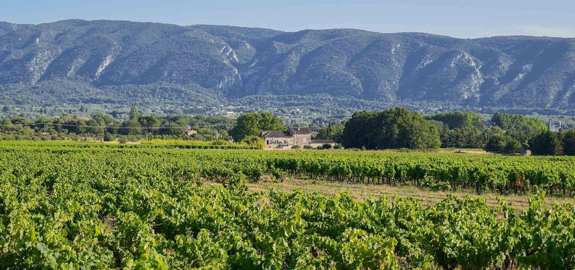 Sunsets Vignerons 2026 at Domaine de La Bastidonne