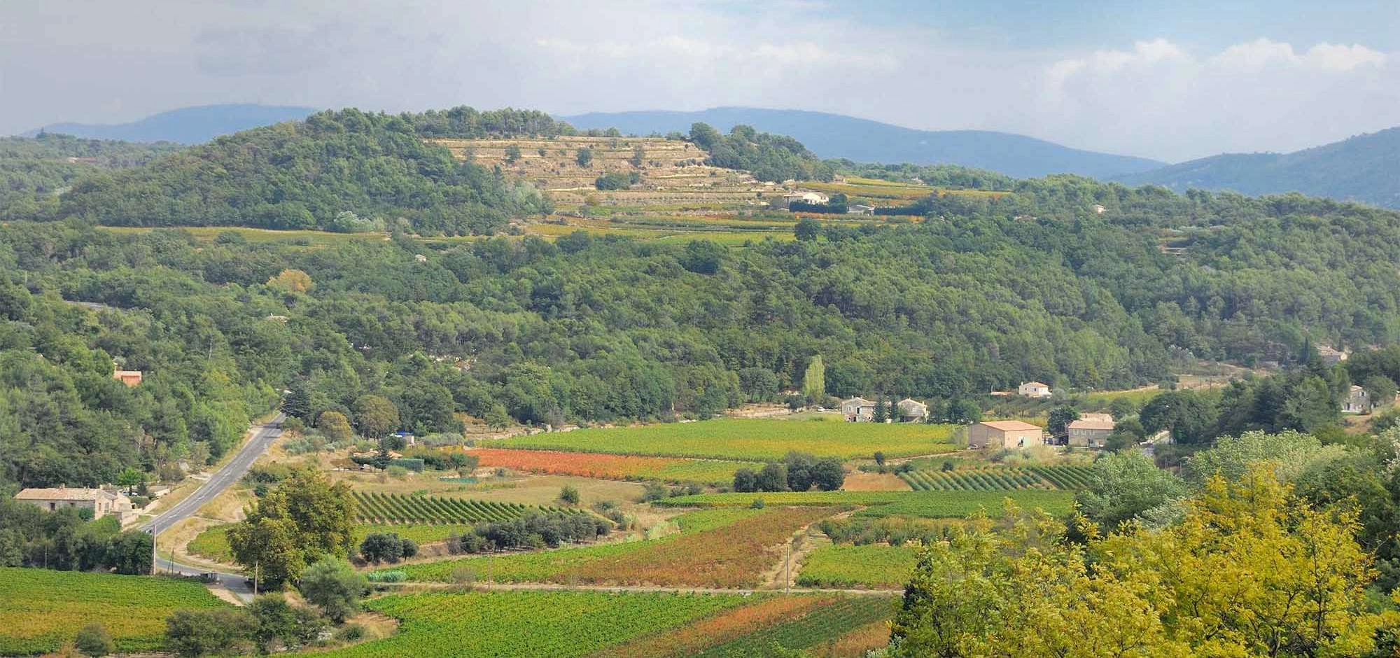 Sunsets Vignerons 2026 at Domaine des Cancélades