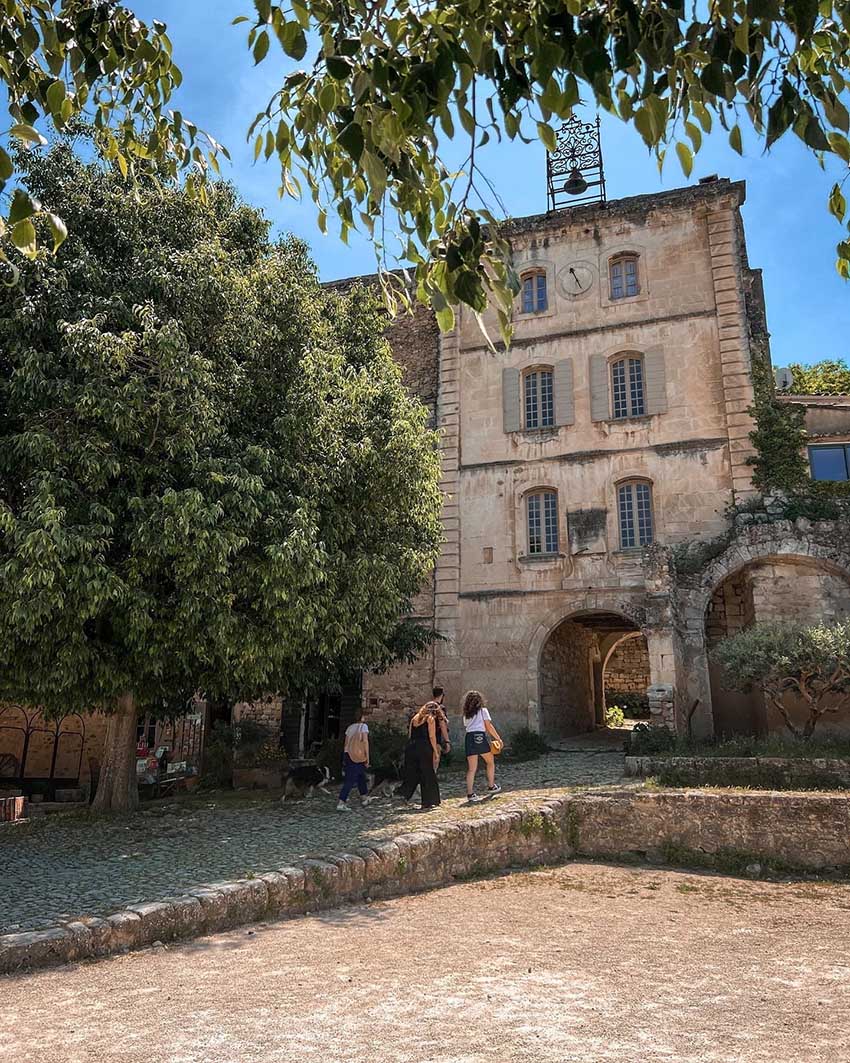 Summer tours in the Luberon, including guided tours, nature walks and evening tours
