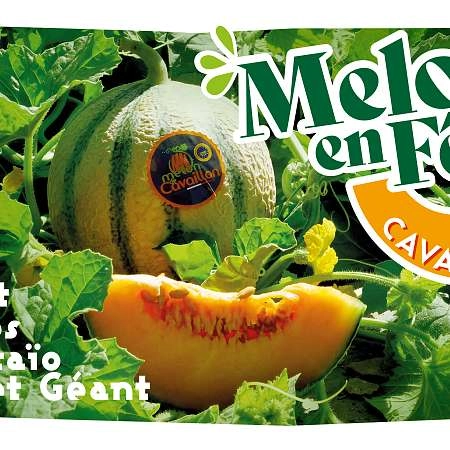 Melon en fête 