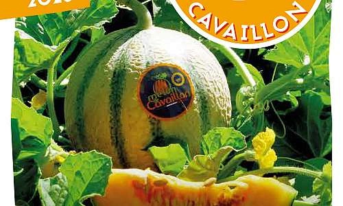 Melon en fête_Cavaillon