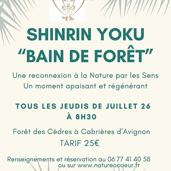 Shinrin Yoku outing or Forest Bathing