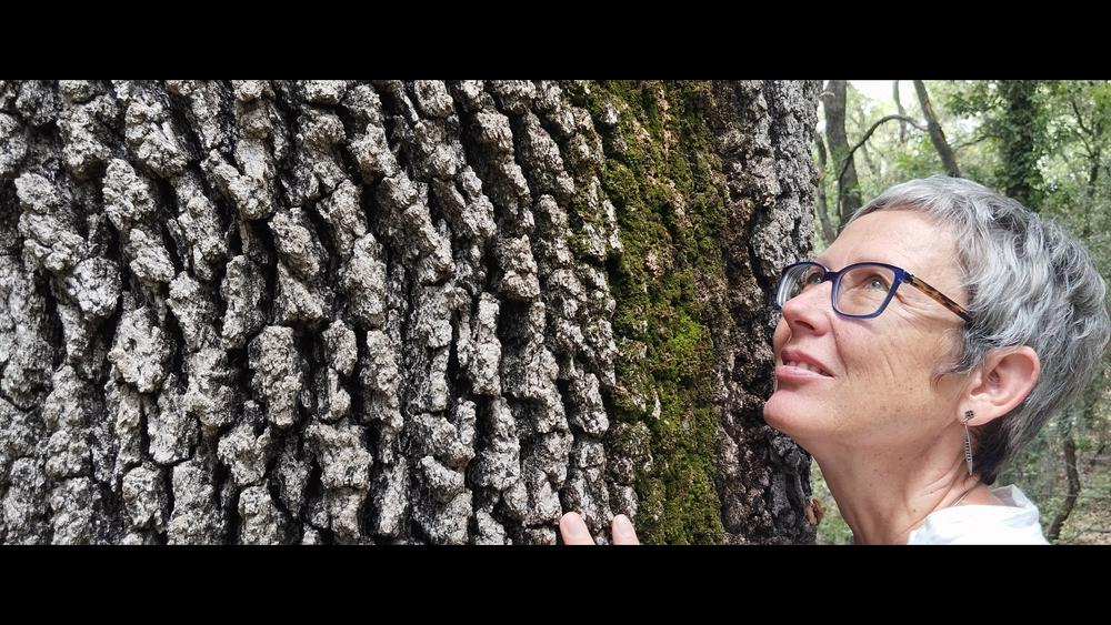 Forest bathing with Christine, naturopath Forest bathing with Christine, naturopath, connecting with trees in the Luberon